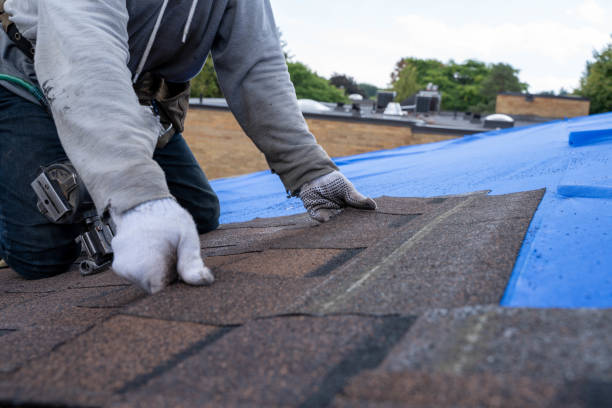 Best Flat Roof Repair Services  in La Marque, TX